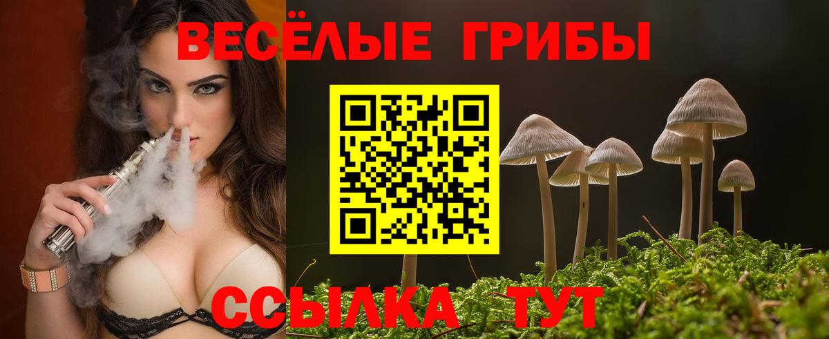 Малоярославец  Псилоцибиновые грибы мухоморы  Вход с VPN 